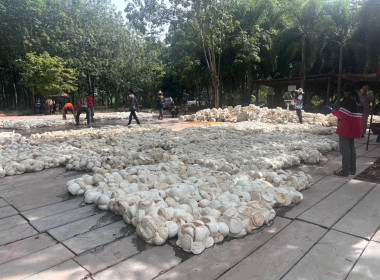 ติดตามธุรกิจรวบรวมยาง “กลุ่มเกษตรกรทำสวนยางก้าวหน้าสามัคคี” พารามิเตอร์รูปภาพ 8
